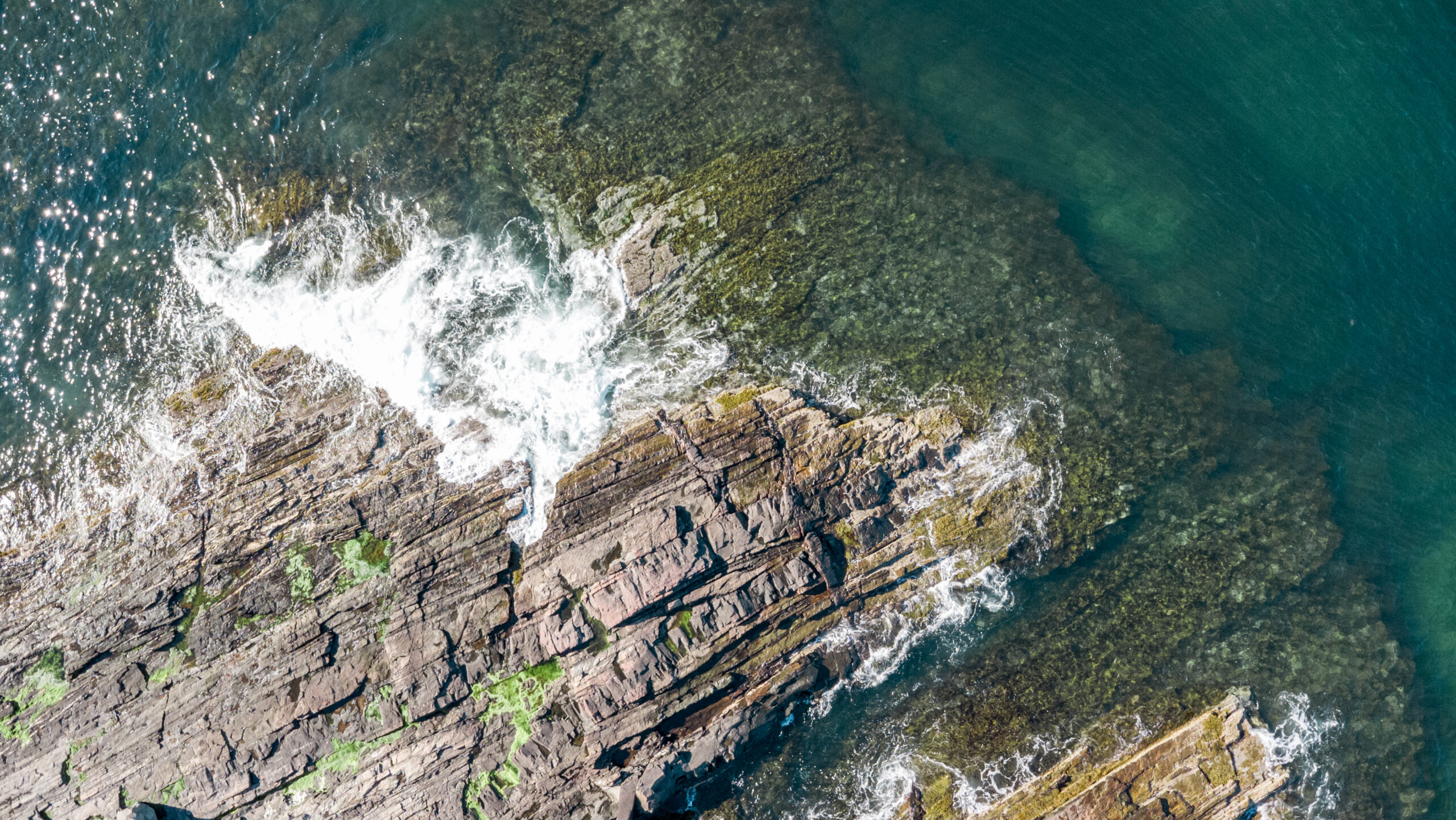 Early Summer Wedding at Cliff House Maine