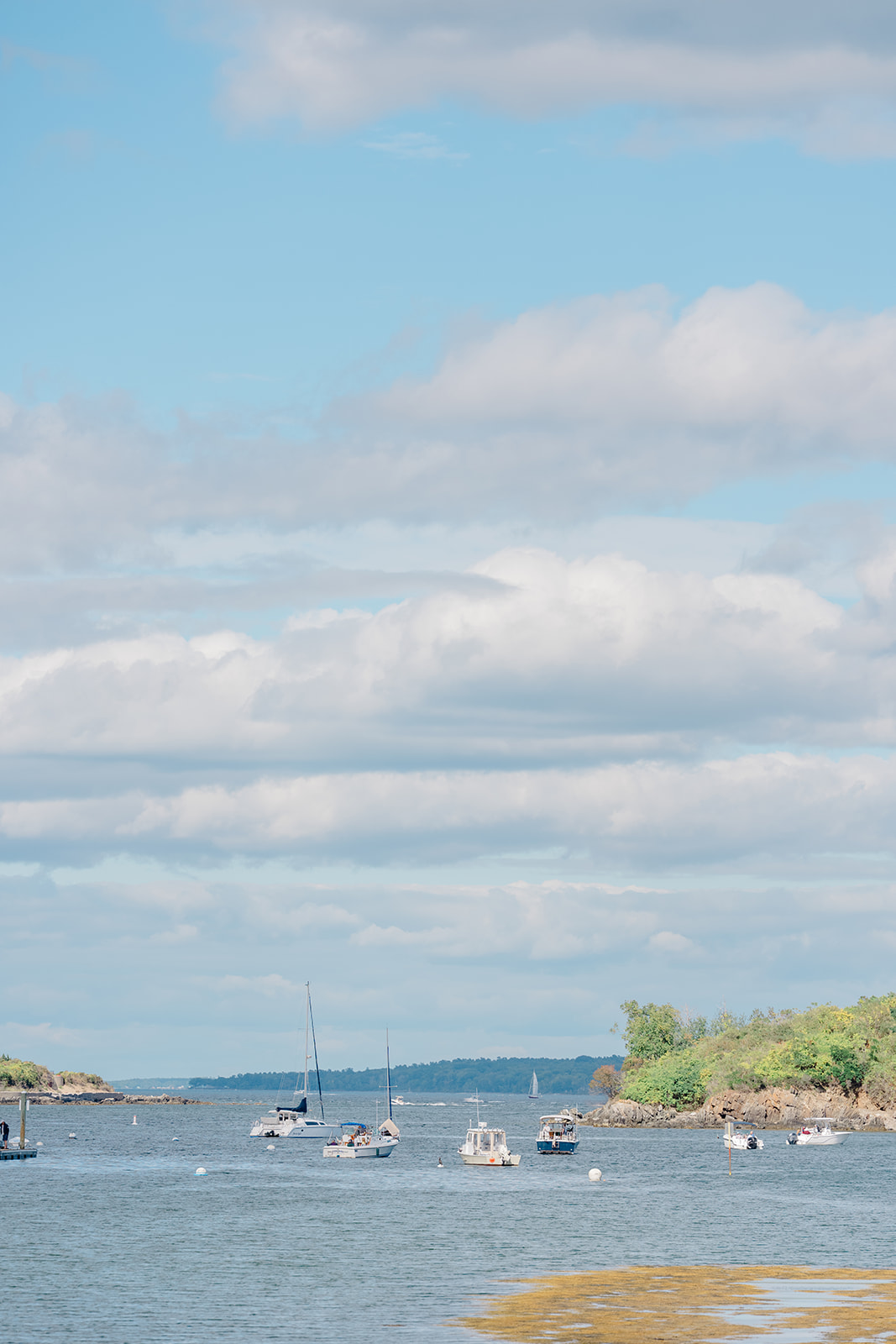 Modern Coastal Vibes for a Late Summer Wedding on Great Diamond Island